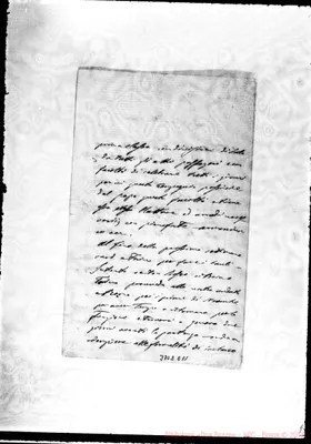 Fotogramma E 11