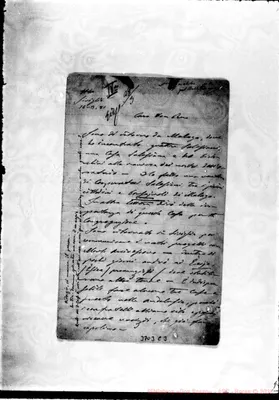Fotogramma C 3