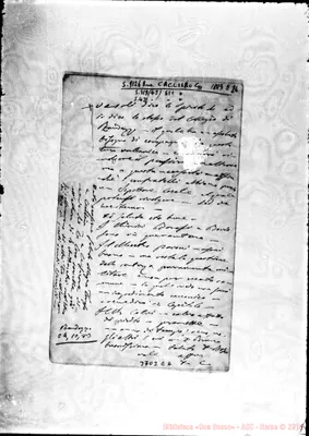 Fotogramma E 6