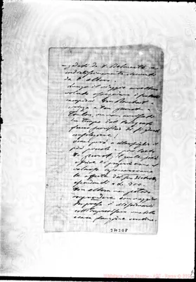 Fotogramma E 8