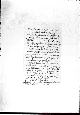 Fotogramma E 8