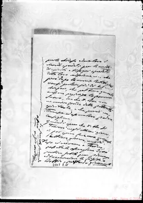 Fotogramma D 11