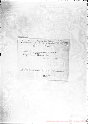 Fotogramma C 1