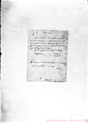 Fotogramma C 7