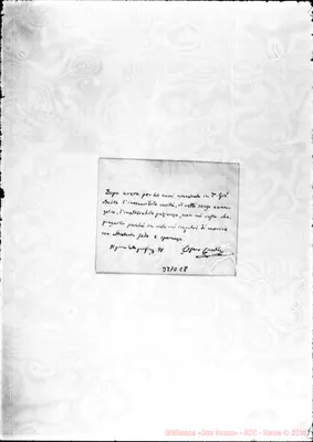 Fotogramma C 8