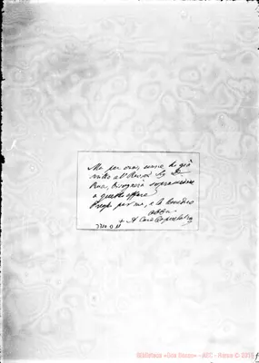 Fotogramma D 11