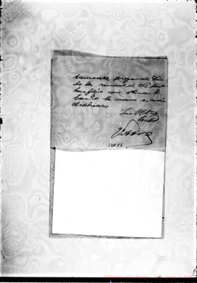 Fotogramma C 2