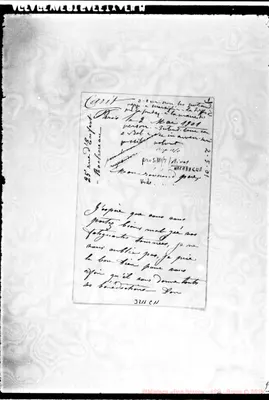 Fotogramma C 11