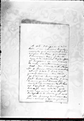 Fotogramma D 10