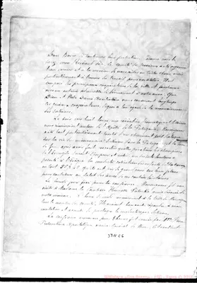 Fotogramma E 6