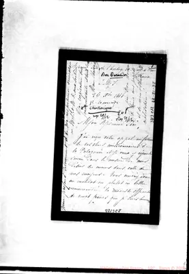 Fotogramma C 8