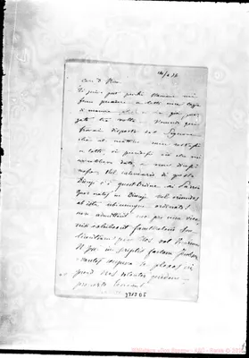 Fotogramma D 5