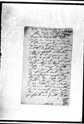 Fotogramma C 12