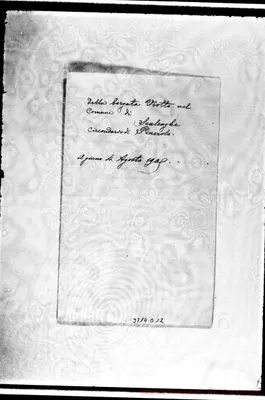 Fotogramma D 12