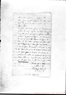 Fotogramma C 11