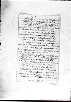 Fotogramma D 11