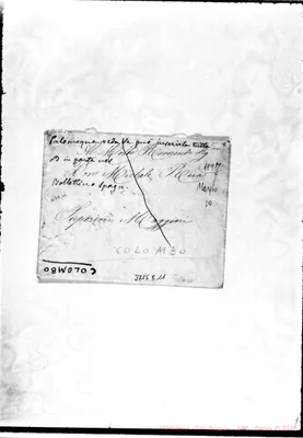 Fotogramma E 11