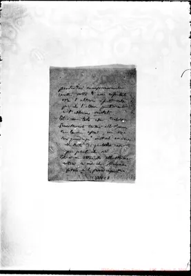 Fotogramma C 8