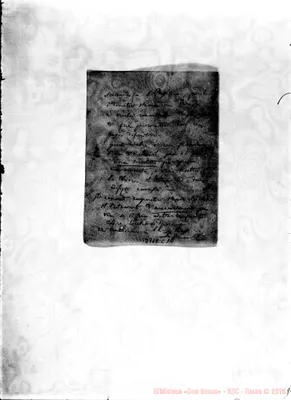 Fotogramma C 10