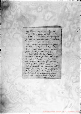 Fotogramma D 11