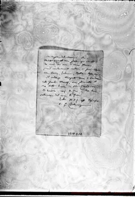 Fotogramma D 12