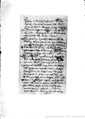 Fotogramma C 5
