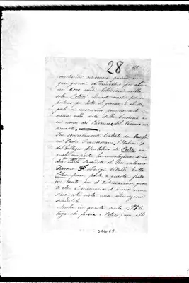 Fotogramma E 8