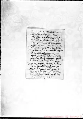 Fotogramma D 7