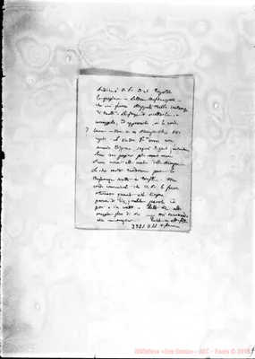 Fotogramma D 11