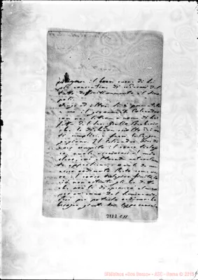 Fotogramma C 11