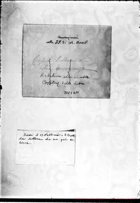 Fotogramma D 10