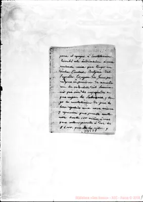 Fotogramma C 8
