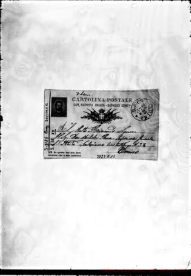 Fotogramma C 12