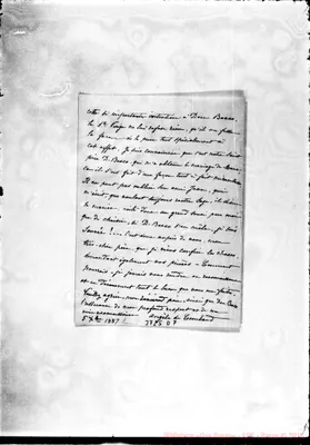 Fotogramma D 7