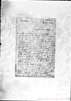 Fotogramma D 11