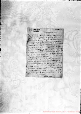Fotogramma D 12