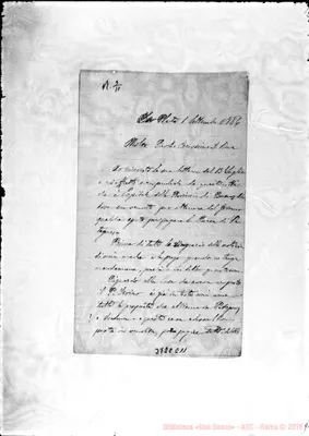 Fotogramma E 11