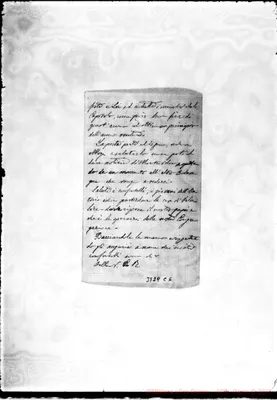 Fotogramma C 6