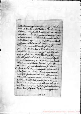 Fotogramma D 3