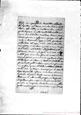Fotogramma D 5