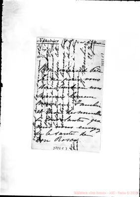Fotogramma C 3