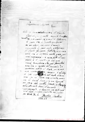 Fotogramma C 8