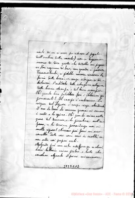 Fotogramma C 12