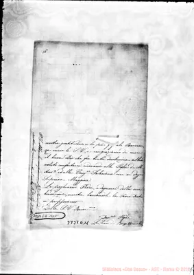 Fotogramma D 11