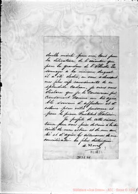Fotogramma D 1