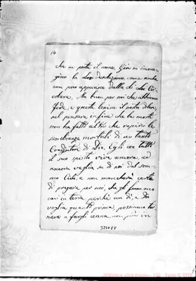 Fotogramma E 8