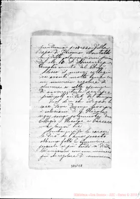 Fotogramma E 8
