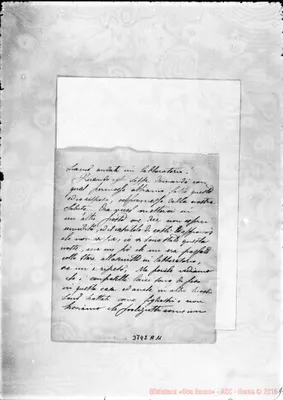 Fotogramma A 11