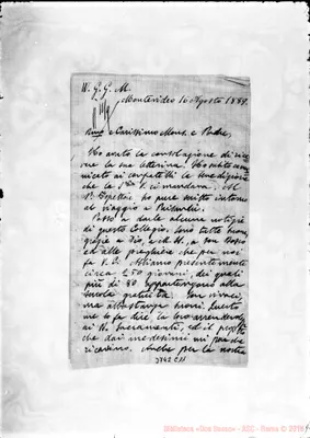 Fotogramma C 11