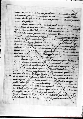 Fotogramma C 11